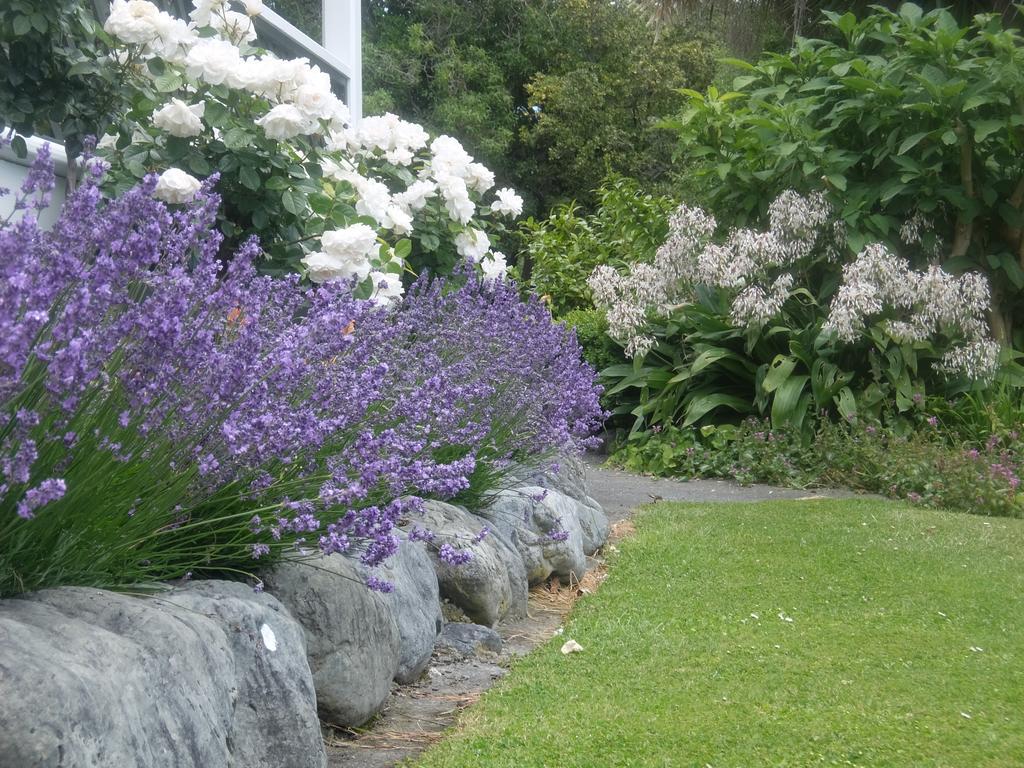 The Point B&B Kaikoura Extérieur photo